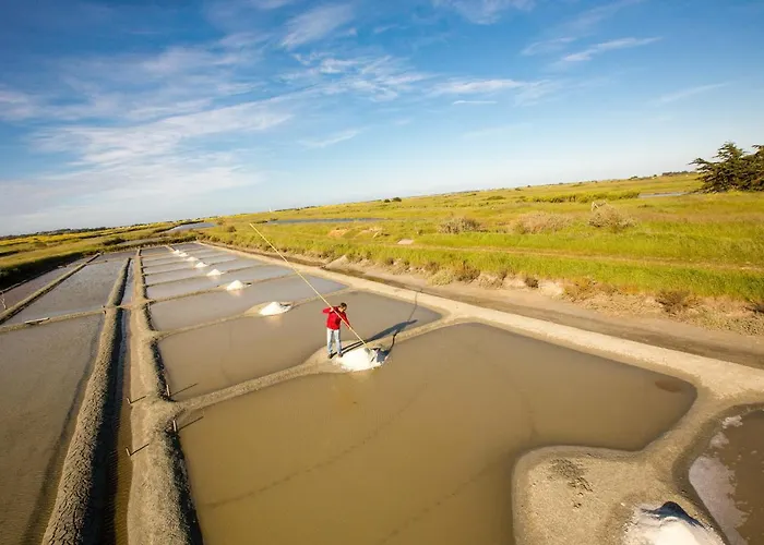 Hébergement de vacances Maison Pour 4 - Jardin - 400m Des Lutins Noirmoutier-en-l'Île